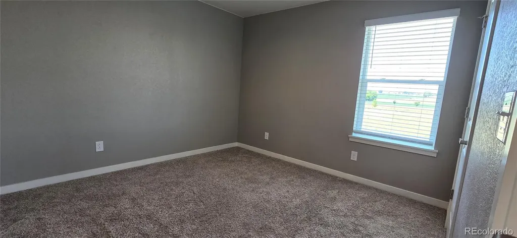 14553 Holstein Drive Mead CO 80542