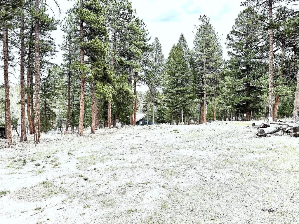252 Beaver Trail Bailey CO 80421