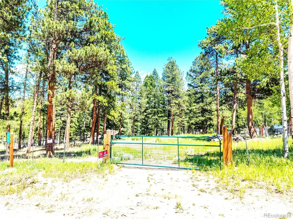 252 Beaver Trail Bailey CO 80421