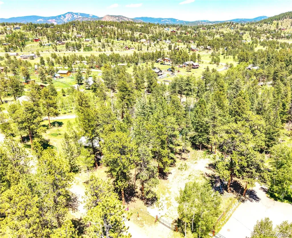 252 Beaver Trail Bailey CO 80421