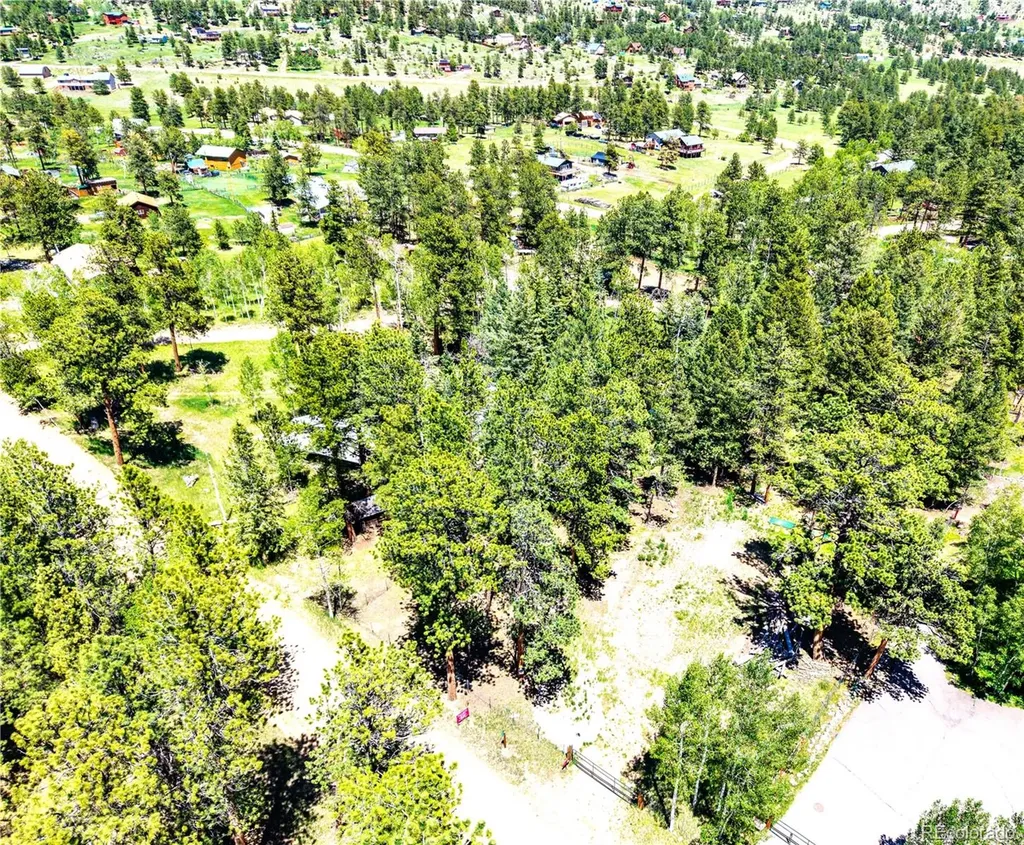 252 Beaver Trail Bailey CO 80421