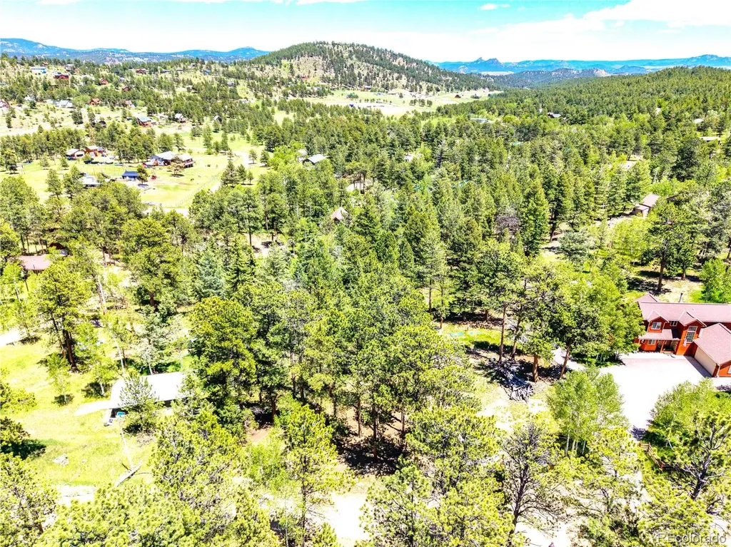 252 Beaver Trail Bailey CO 80421