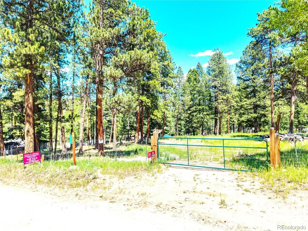 252 Beaver Trail Bailey CO 80421