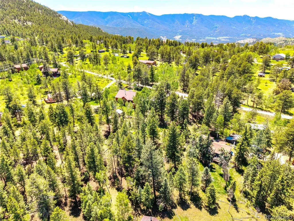 252 Beaver Trail Bailey CO 80421