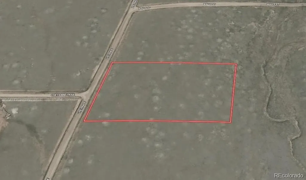 936 Ute Trace Hartsel CO 80449