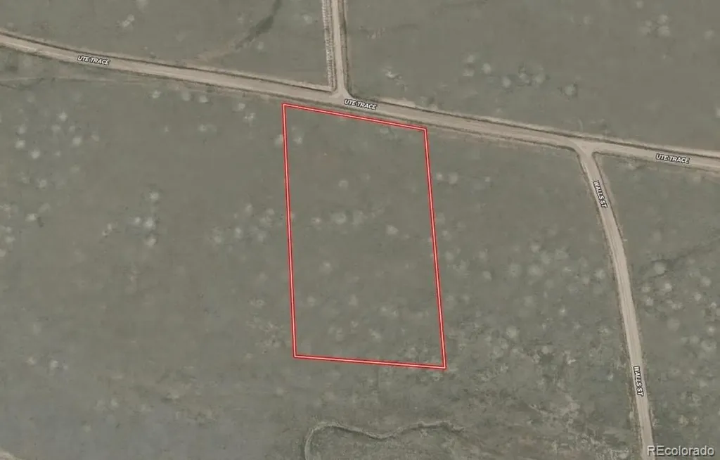 936 Ute Trace Hartsel CO 80449