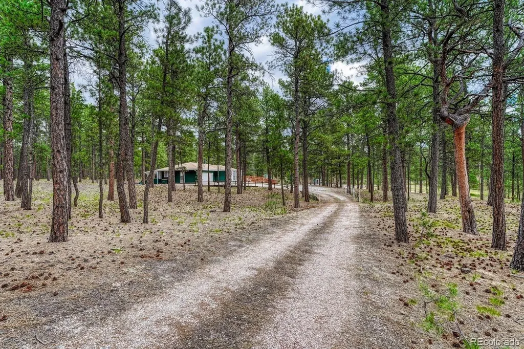 9950 Pine Park Trail Colorado Springs CO 80908