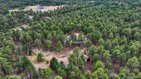 9950 Pine Park Trail Colorado Springs CO 80908