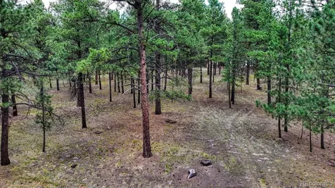 9950 Pine Park Trail Colorado Springs CO 80908