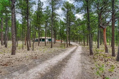 9950 Pine Park Trail Colorado Springs CO 80908