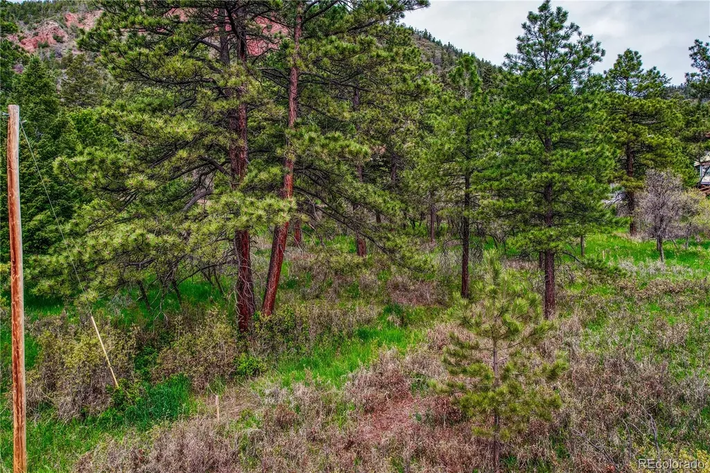 000 Buena Vista Avenue Palmer Lake CO 80133