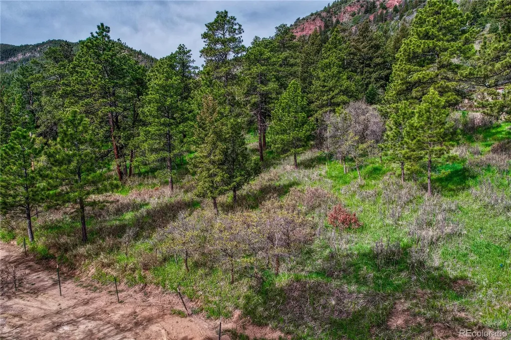 000 Buena Vista Avenue Palmer Lake CO 80133