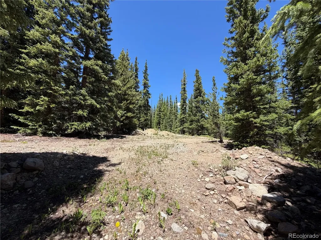 339 Silverheels Place Fairplay CO 80440