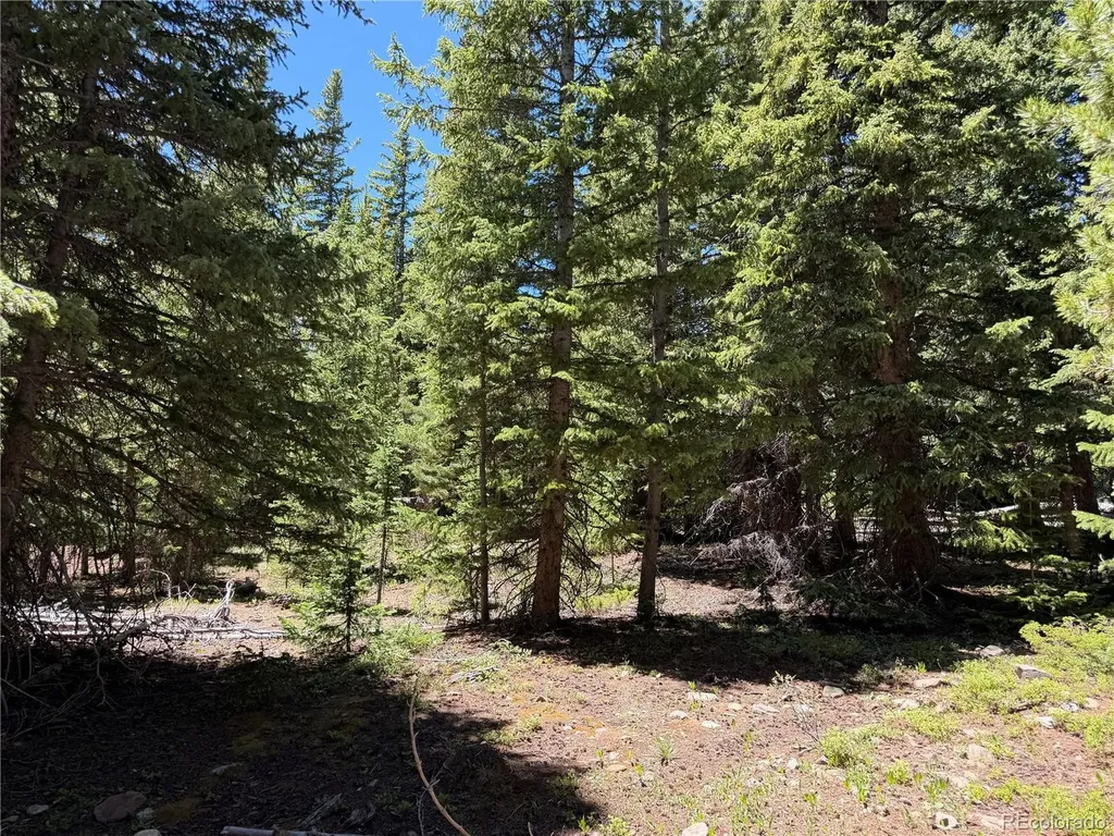 339 Silverheels Place Fairplay CO 80440