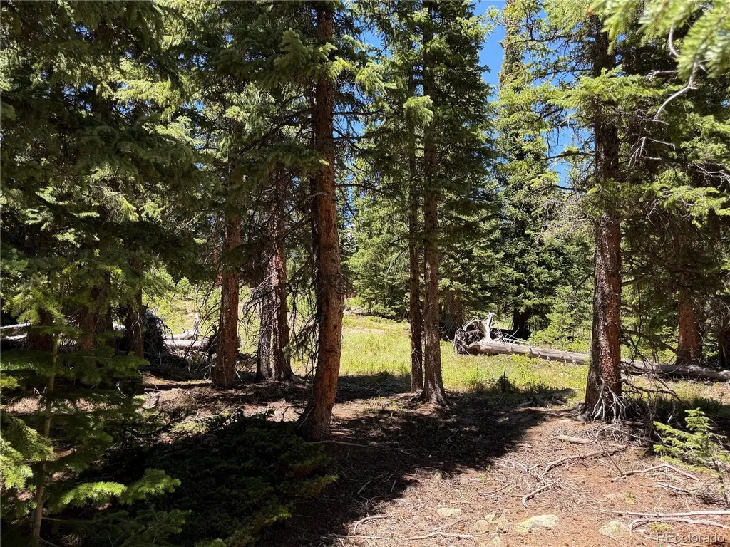 339 Silverheels Place Fairplay CO 80440