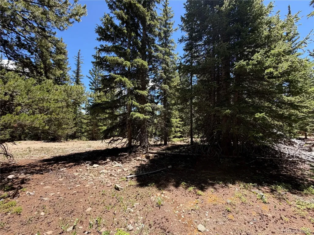 339 Silverheels Place Fairplay CO 80440