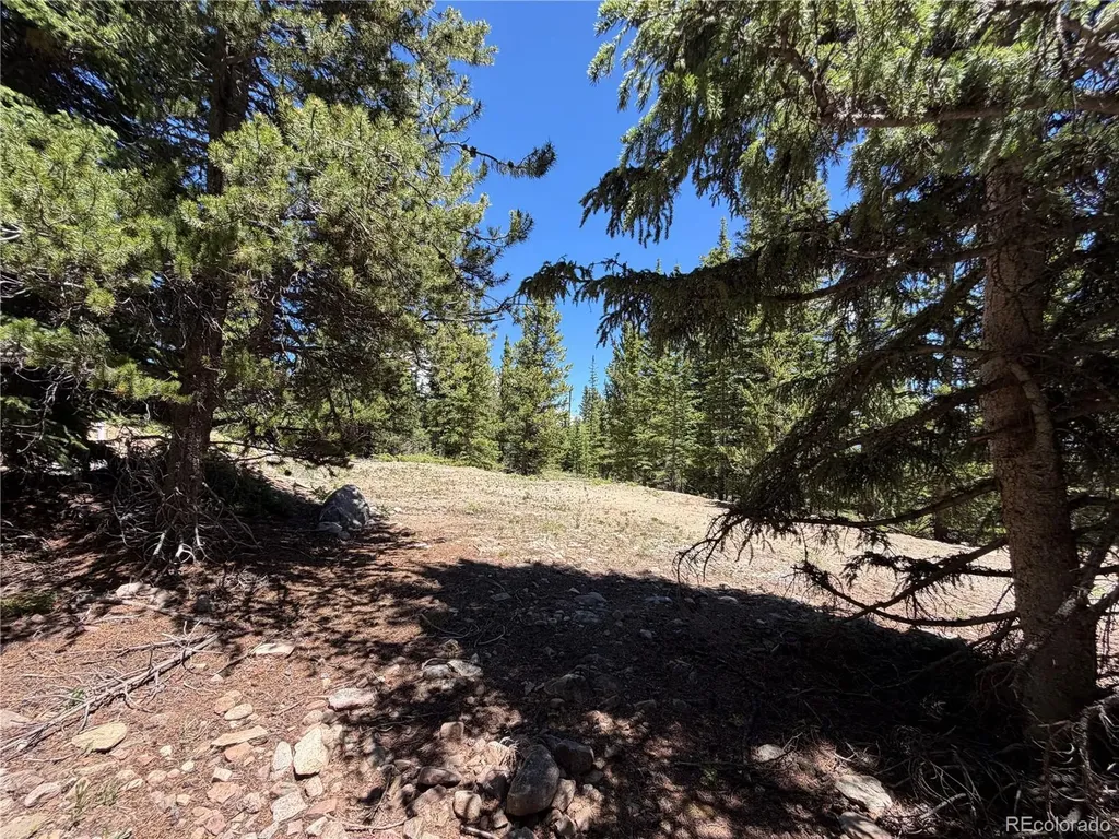 339 Silverheels Place Fairplay CO 80440