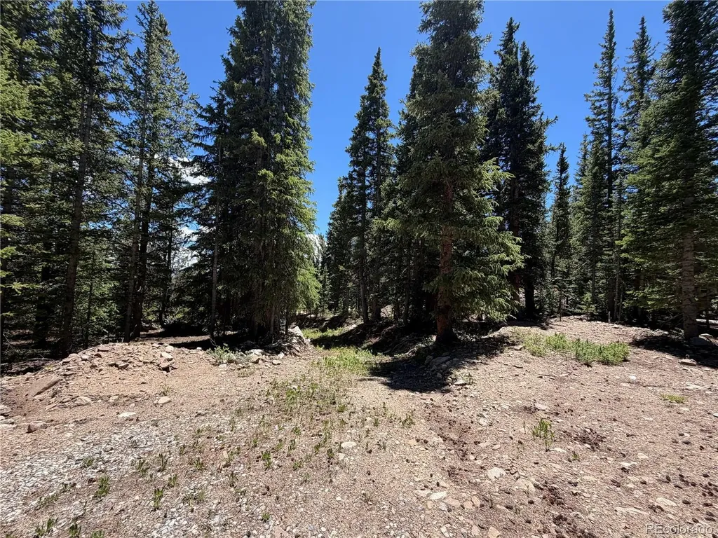 339 Silverheels Place Fairplay CO 80440