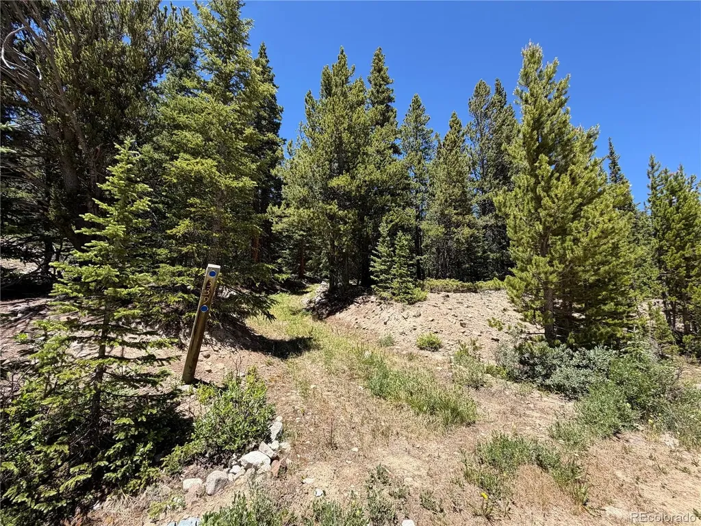 339 Silverheels Place Fairplay CO 80440