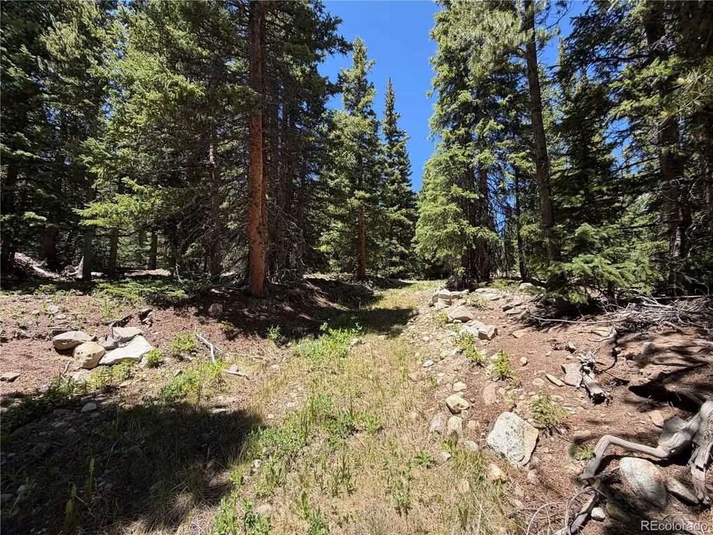 339 Silverheels Place Fairplay CO 80440