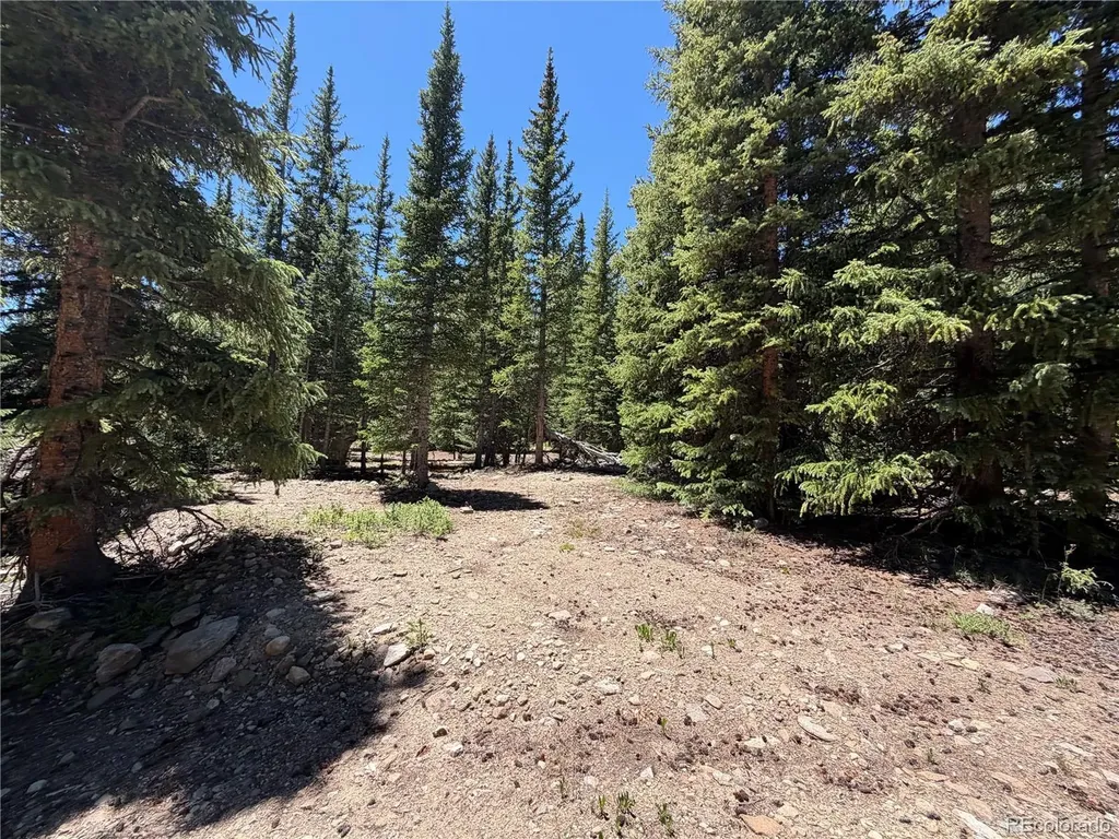 339 Silverheels Place Fairplay CO 80440