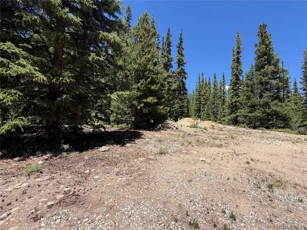 339 Silverheels Place Fairplay CO 80440