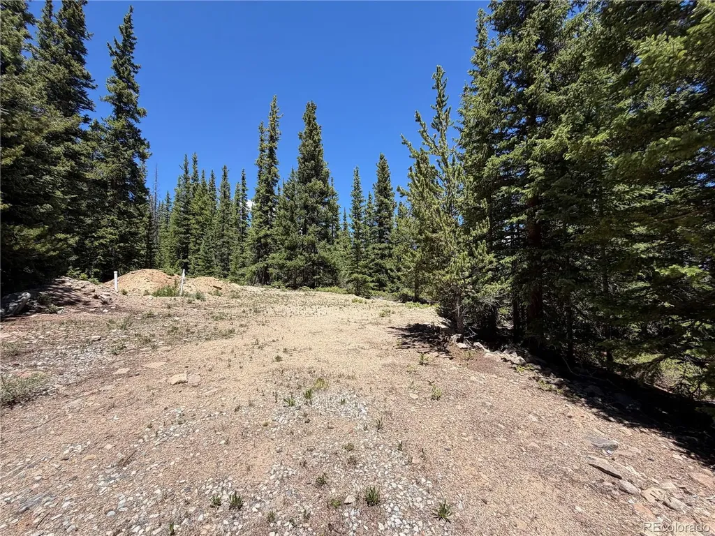 339 Silverheels Place Fairplay CO 80440