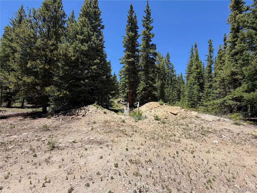 339 Silverheels Place Fairplay CO 80440