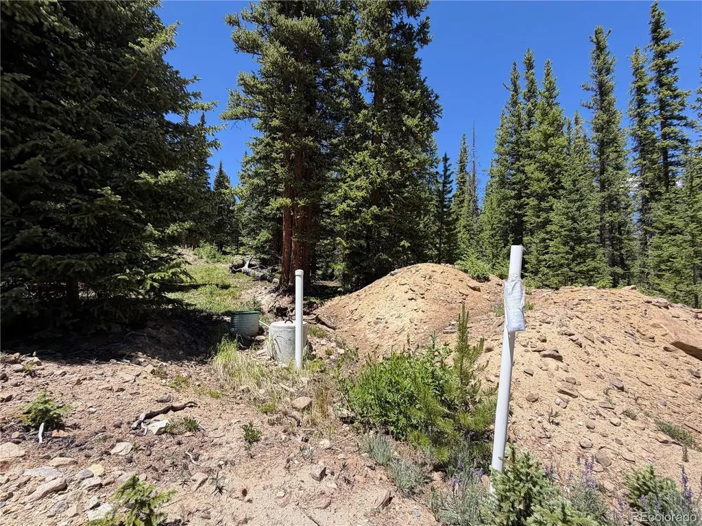 339 Silverheels Place Fairplay CO 80440
