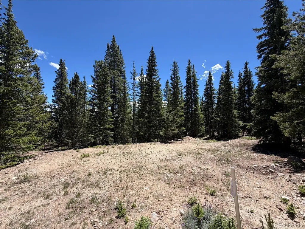 339 Silverheels Place Fairplay CO 80440