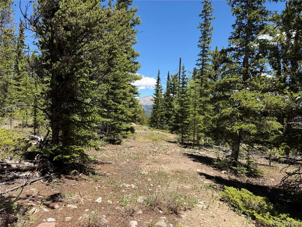 339 Silverheels Place Fairplay CO 80440