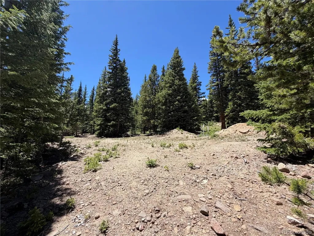 339 Silverheels Place Fairplay CO 80440