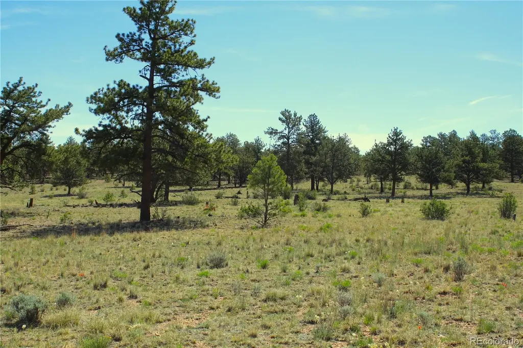 31572 Highway 9 Fairplay CO 80440