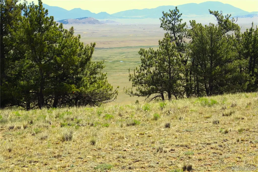 31572 Highway 9 Fairplay CO 80440