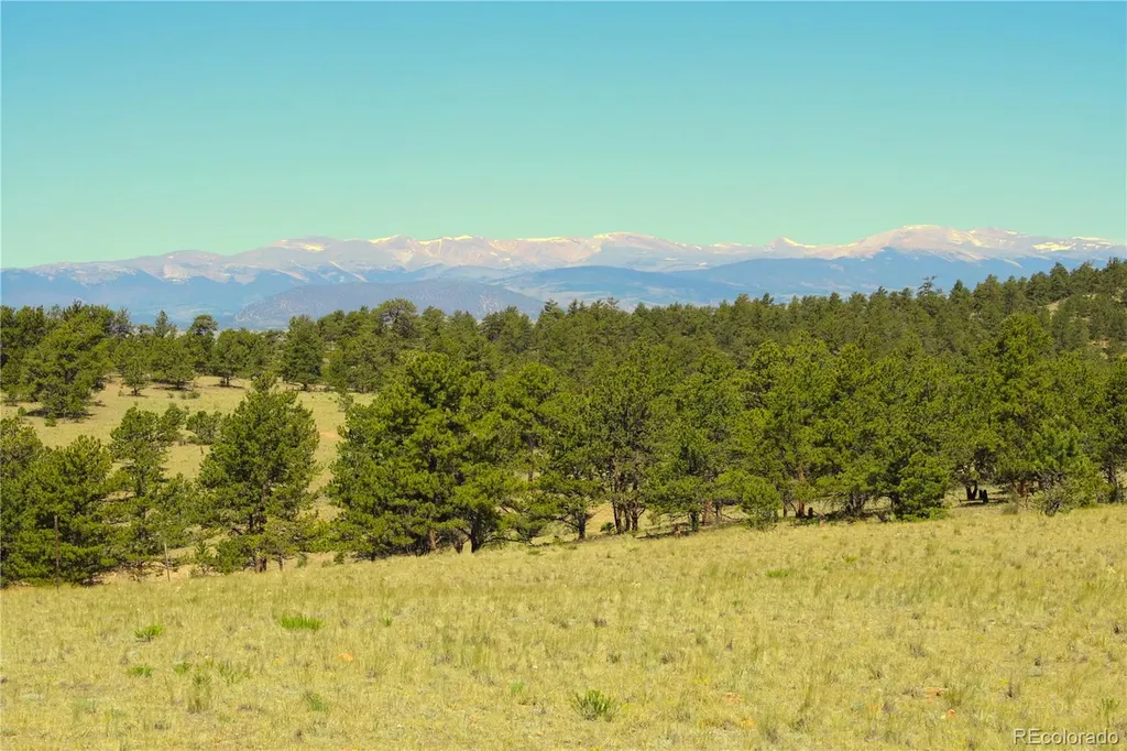 31572 Highway 9 Fairplay CO 80440