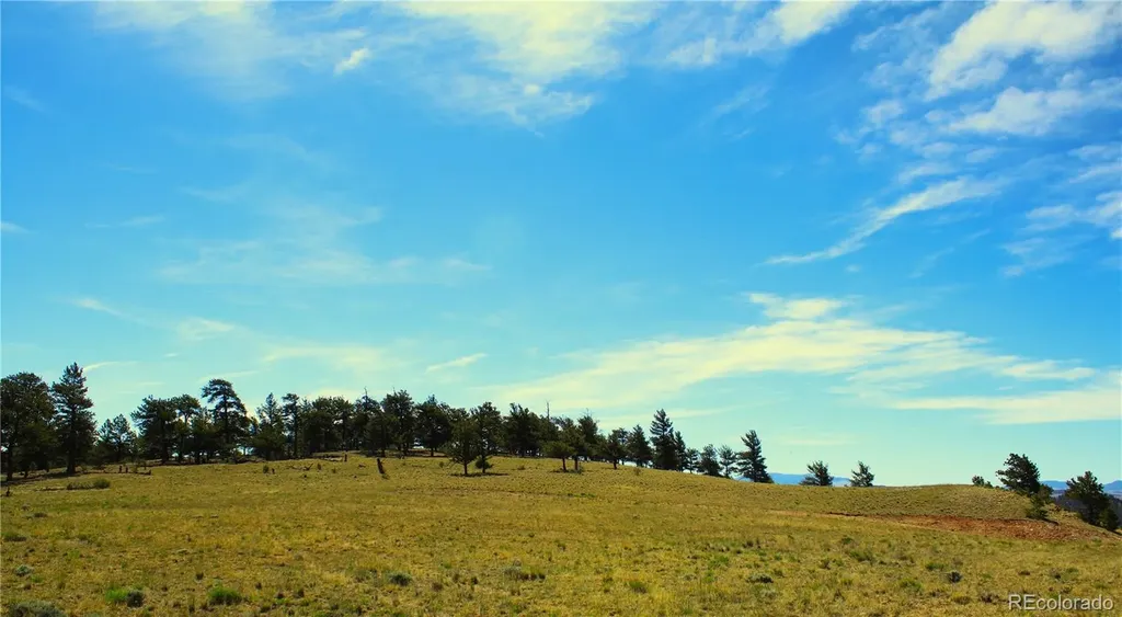 31572 Highway 9 Fairplay CO 80440