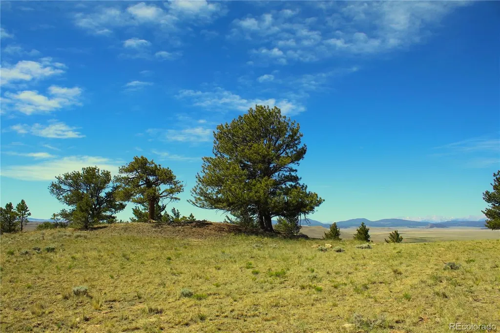 31572 Highway 9 Fairplay CO 80440