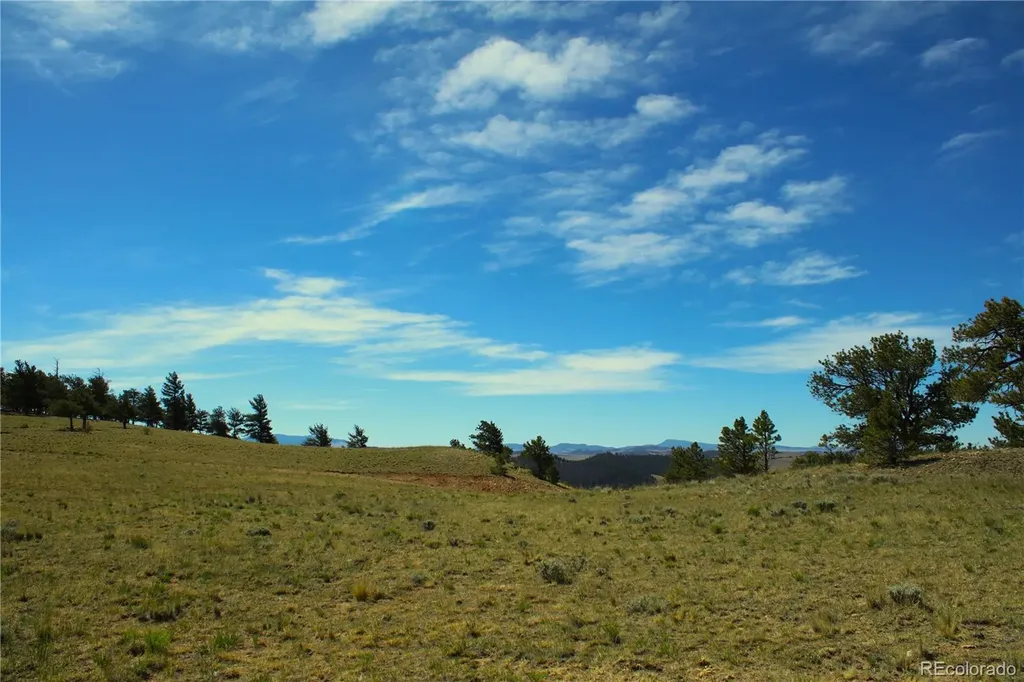 31572 Highway 9 Fairplay CO 80440
