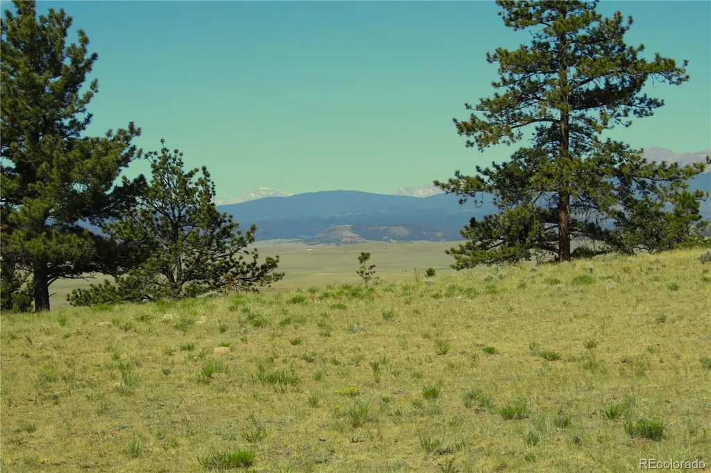31572 Highway 9 Fairplay CO 80440