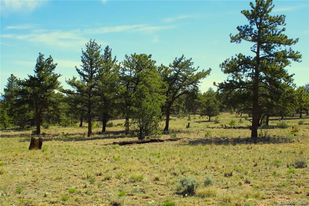 31572 Highway 9 Fairplay CO 80440