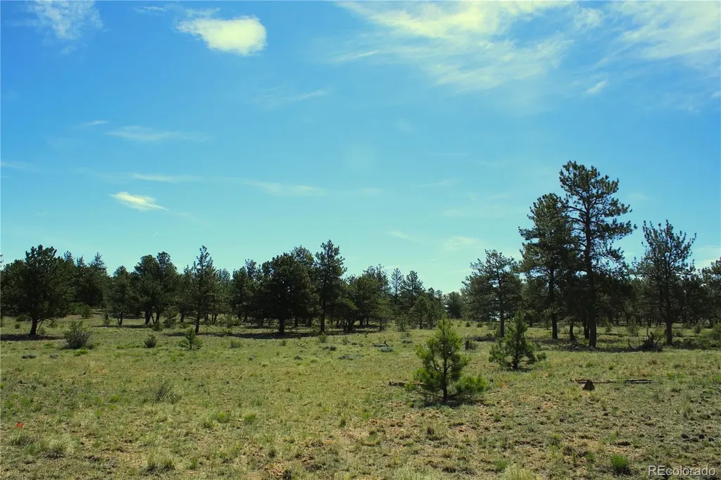 31572 Highway 9 Fairplay CO 80440