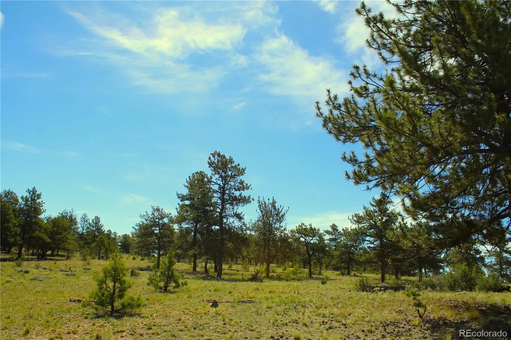 31572 Highway 9 Fairplay CO 80440
