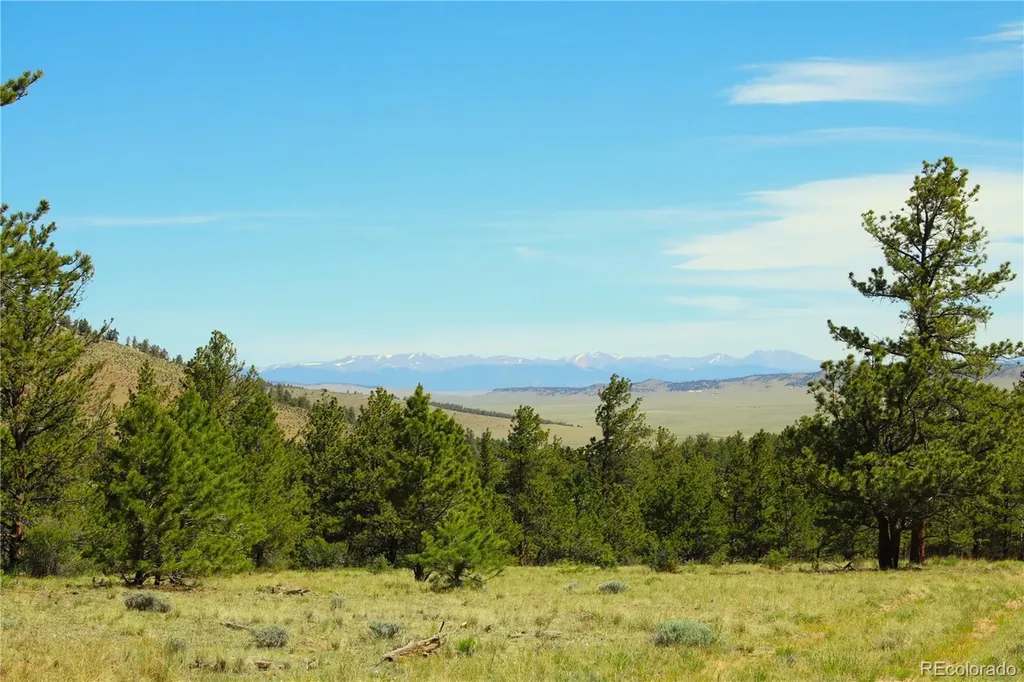 31572 Highway 9 Fairplay CO 80440