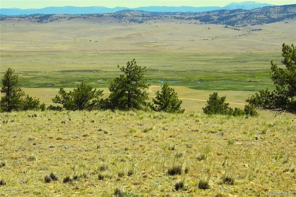31572 Highway 9 Fairplay CO 80440