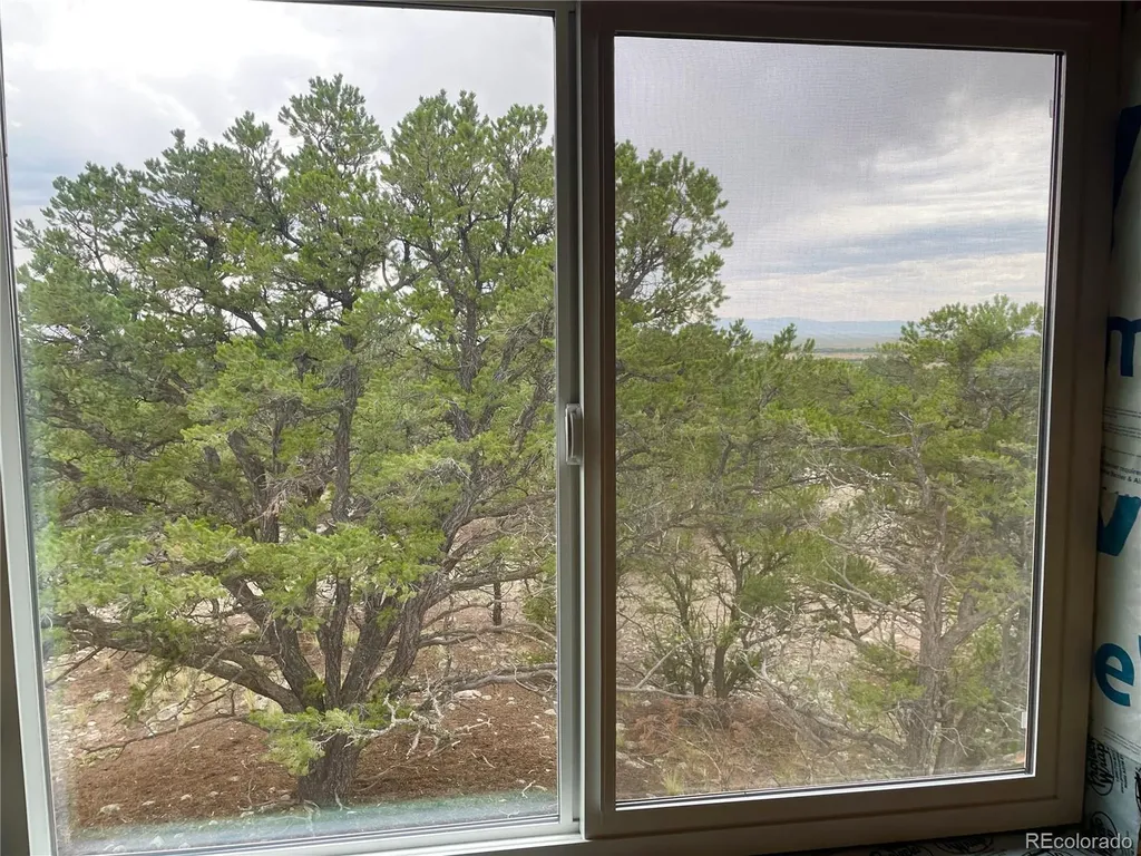 2206 Spanish Creek Road Crestone CO 81131