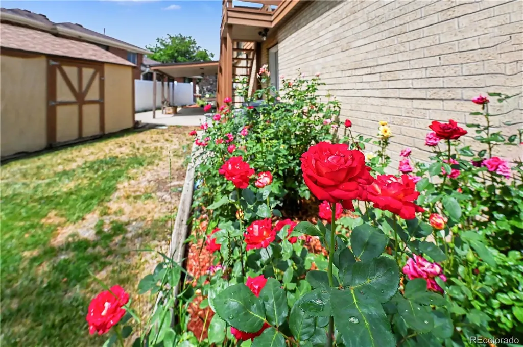 2398 Oakland Street Aurora CO 80010