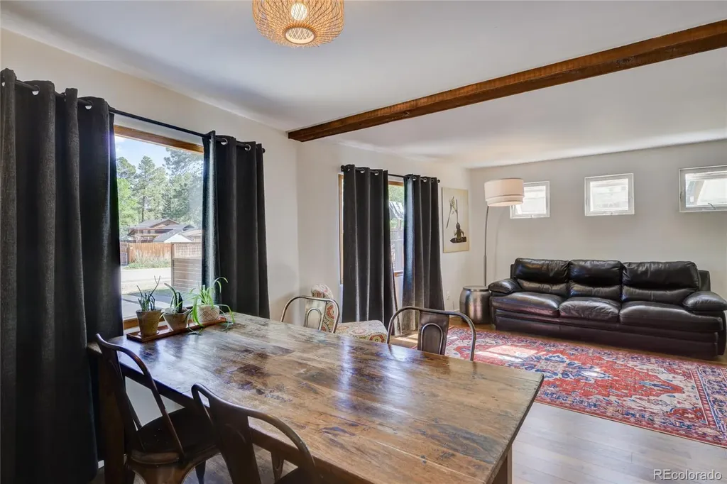 619 James Place Buena Vista CO 81211