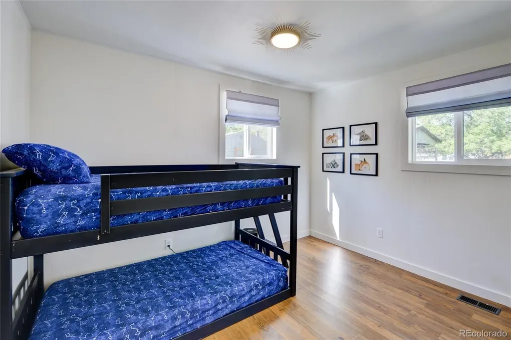 619 James Place Buena Vista CO 81211