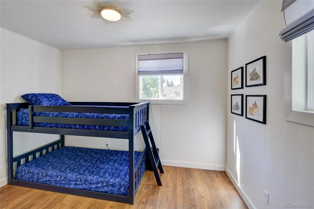 619 James Place Buena Vista CO 81211