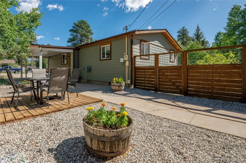 619 James Place Buena Vista CO 81211